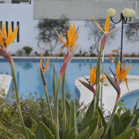 Apartamento Proximo Da Marina Vilamoura C/Piscina E Estacionamento Exterior photo